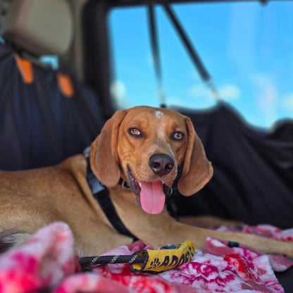 PU Leather Hard Bottom Backseat Extender Car Seat Cover For Dogs