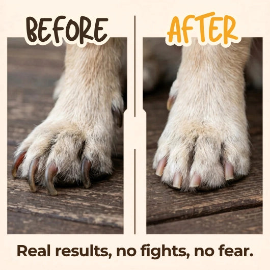 Voroam™ | Dog Nail Scratch Board