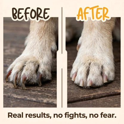Voroam™ | Dog Nail Scratch Board
