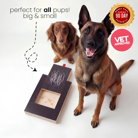 Voroam™ | Dog Nail Scratch Board