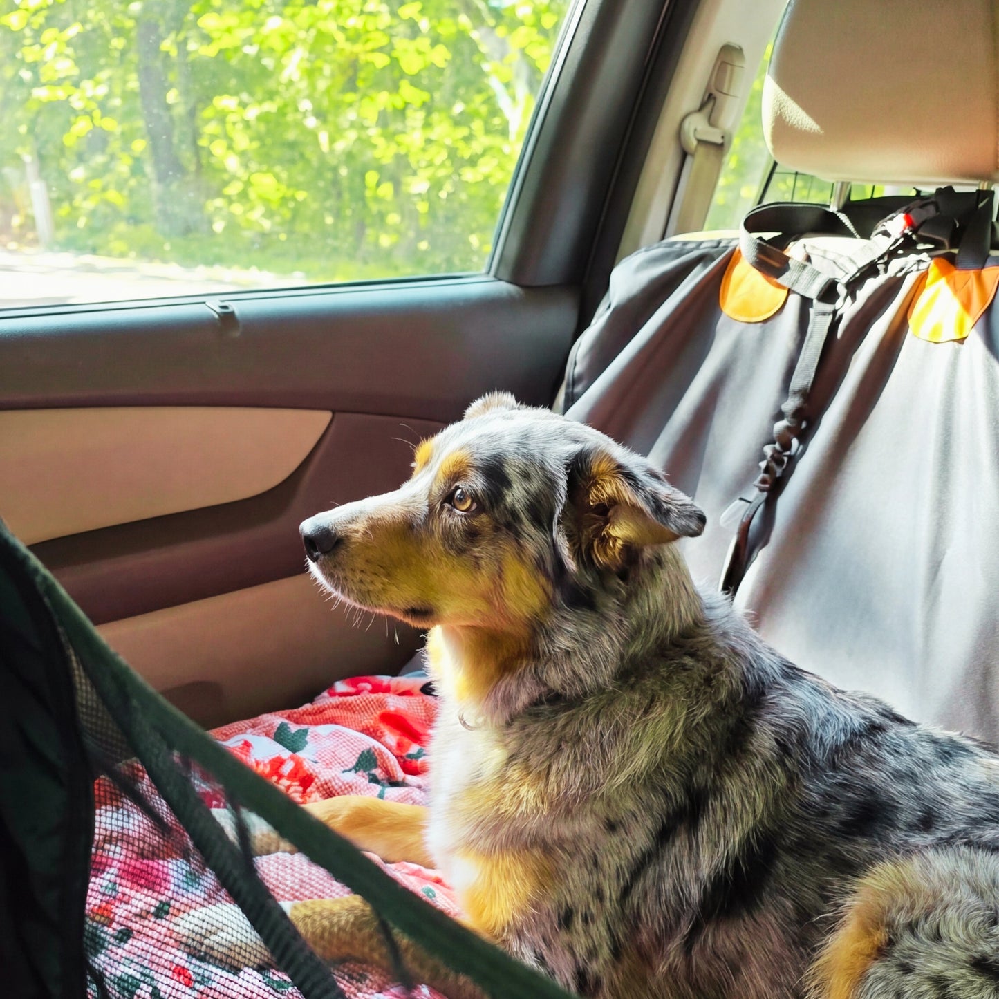 PU Leather Hard Bottom Backseat Extender Car Seat Cover For Dogs