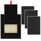 Three Replacement Pads
